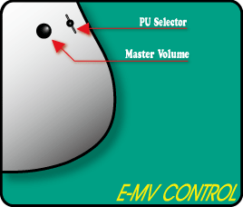 E-MV�� ����ȥ�����