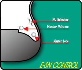 E-SN�� ����ȥ�����