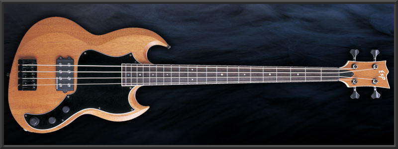 ESP VP-B NANBA Custom