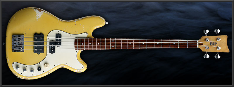 ESP GARAGE
