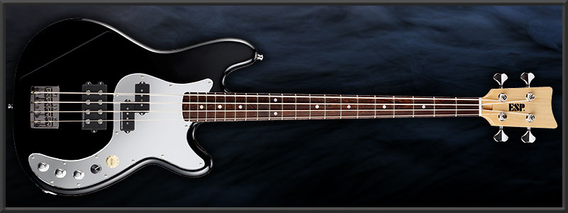 ESP GARAGE-III