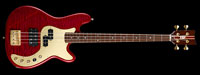 ESP GARAGE