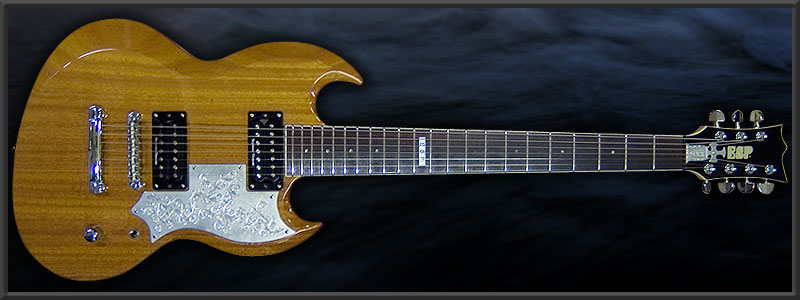 ESP VP-SL7 HALLY Custom