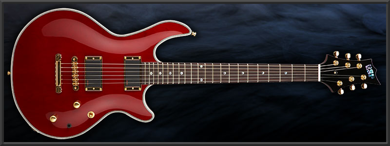 ESP HIDE-ZOU Model "�ȶ�" 