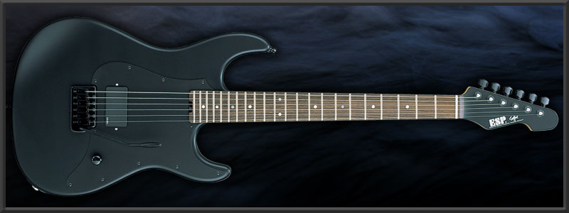 ESP SNAPPER-ALR HIROKI Custom