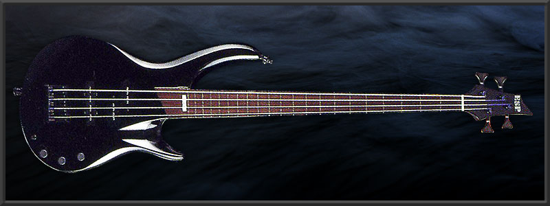 ESP GDS -190 Custom-