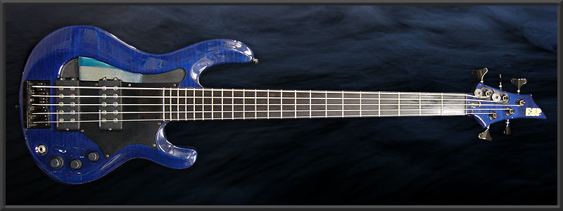 ESP CHB -190 Custom-
