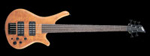 ESP WS -190 Custom-