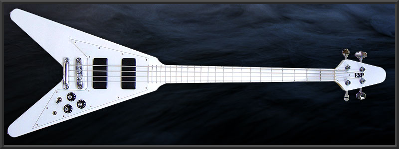 ESP FV -190 Custom-