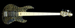 ESP AMAZE -190 Custom-