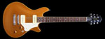 EDWARDS E-PO-108P