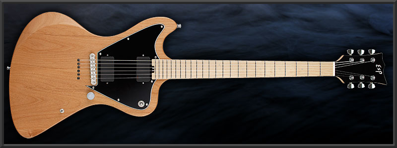 ESP TE-SL LARRY Custom