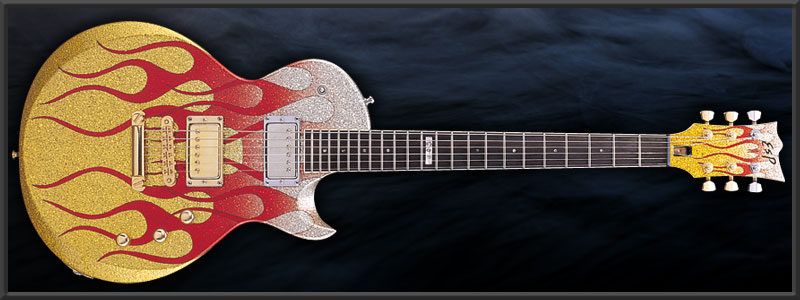 ESP MA ��å��� Custom