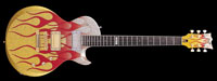 ESP MA ��å��� Custom
