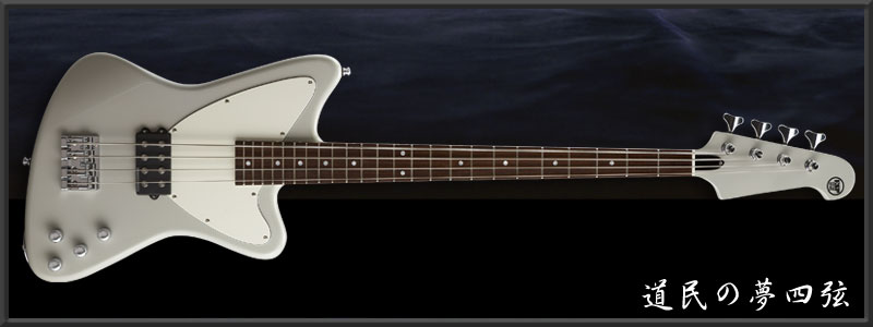 ESP AMAZE-CTM ���� Custom