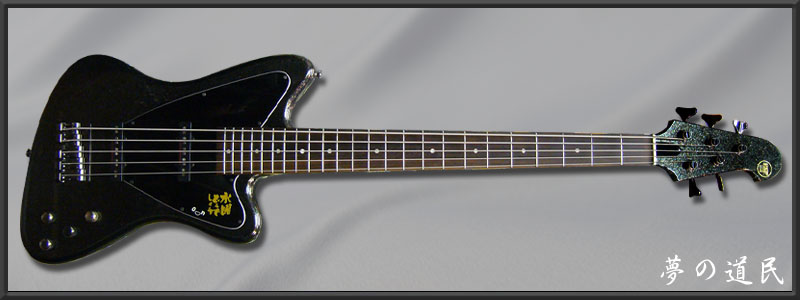 ESP AMAZE-SL5 ���� Custom