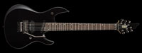 ESP Ruiza Model