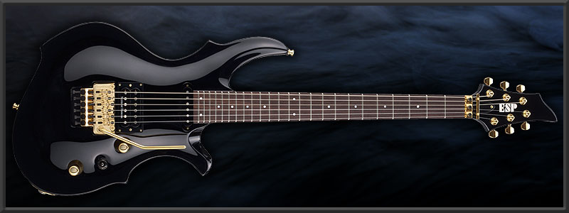 ESP RAVEN