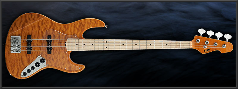 ESP AMAZE-CTM ���� Custom