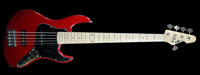 ESP AMAZE-SL5 ���� Custom