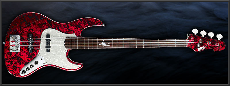 ESP ��