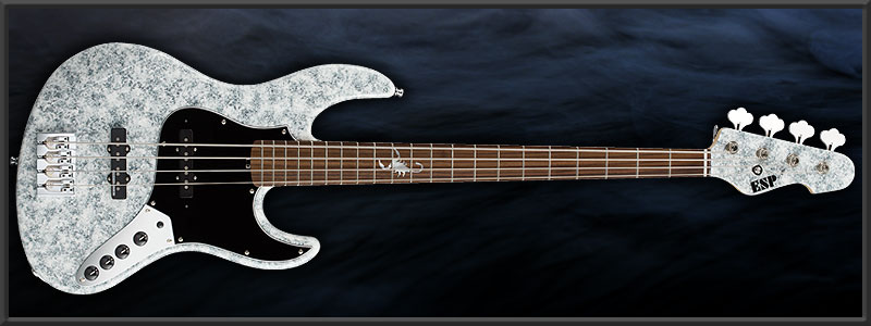 ESP ��