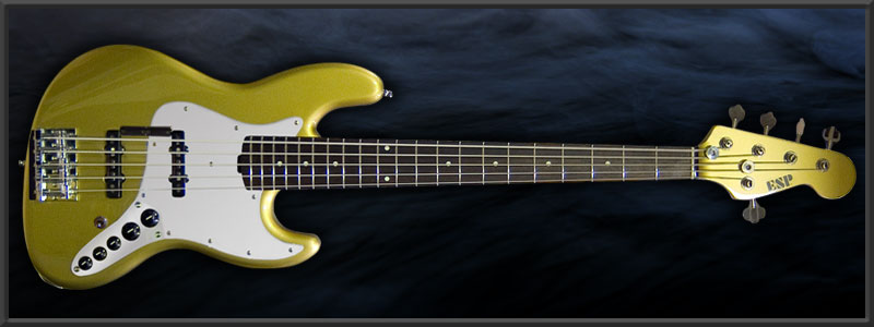 ESP JB-5 ���� Custom