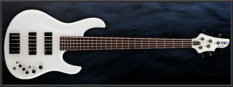 ESP HALIBUT Kenji Sano Custom
