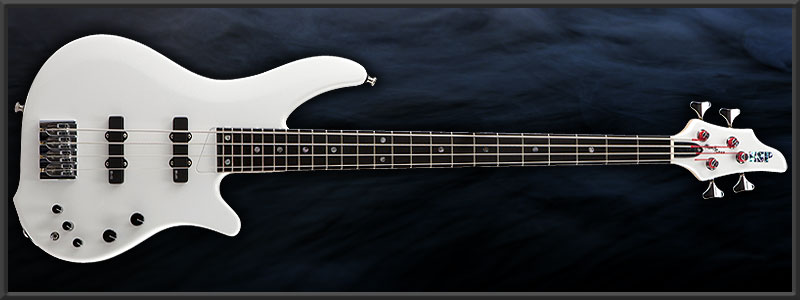 EDWARDS E-US-85D nono model "nyanya" 