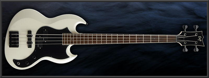 ESP VP-B SHUSE Custom