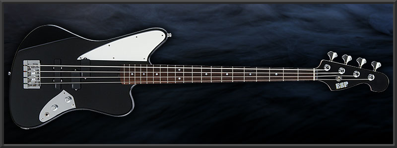 ESP XJ-B SHUSE Custom