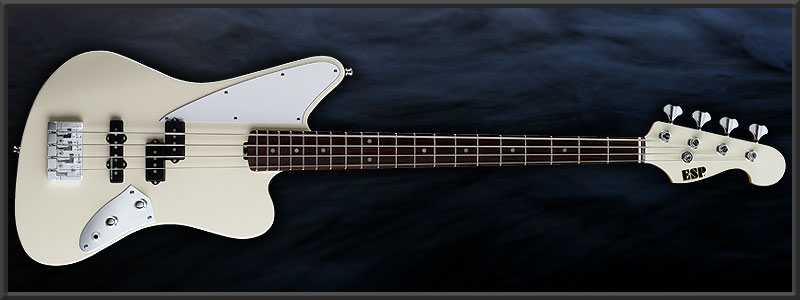 ESP XJ-B SHUSE Custom