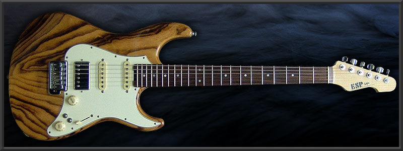 ESP SNAPPER-ASR -Sin Custom-