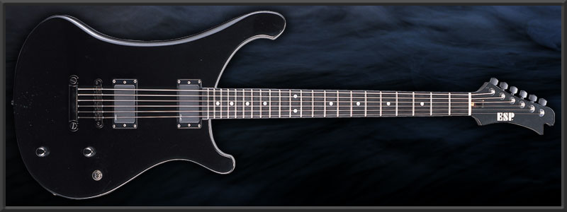 ESP SUZUKI Model