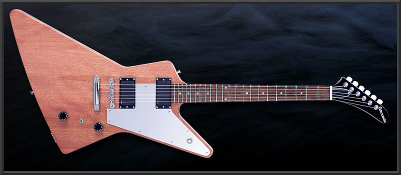 EDWARDS E-EX-138E Syu Custom