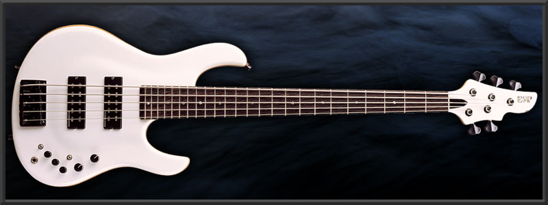 ESP HALIBUT YOKOYAMA Custom