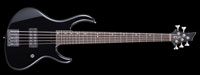ESP TH-5 YOKOYAMA Custom