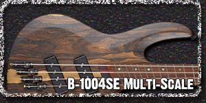 B-1004SE MULTI-SCALE