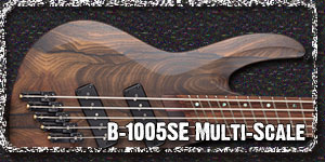 B-1005SE MULTI-SCALE