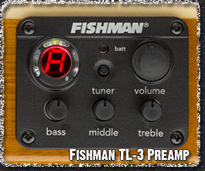 Fishman SONICORE Pickup