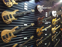 LTD & Tombstone Series